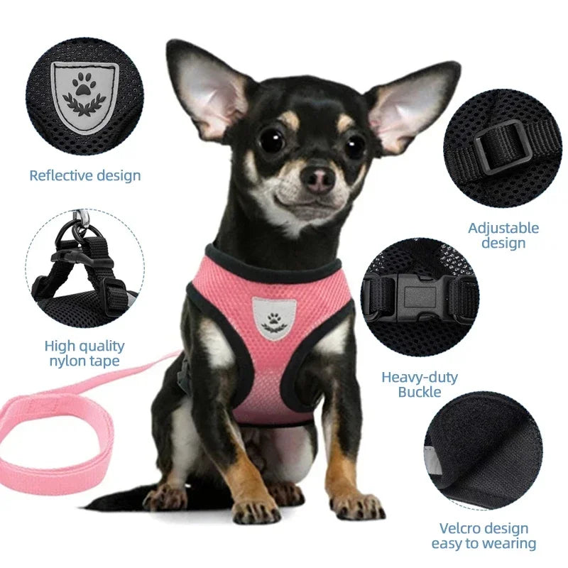 FurNiche™ Adjustable Mesh Pet Harness & Leash Set