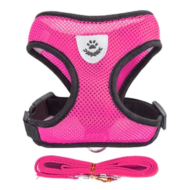 FurNiche™ Adjustable Mesh Pet Harness & Leash Set