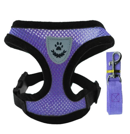 FurNiche™ Adjustable Mesh Pet Harness & Leash Set