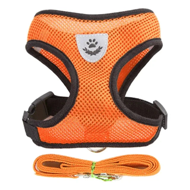 FurNiche™ Adjustable Mesh Pet Harness & Leash Set
