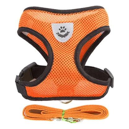 FurNiche™ Adjustable Mesh Pet Harness & Leash Set