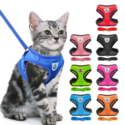 FurNiche™ Adjustable Mesh Pet Harness & Leash Set