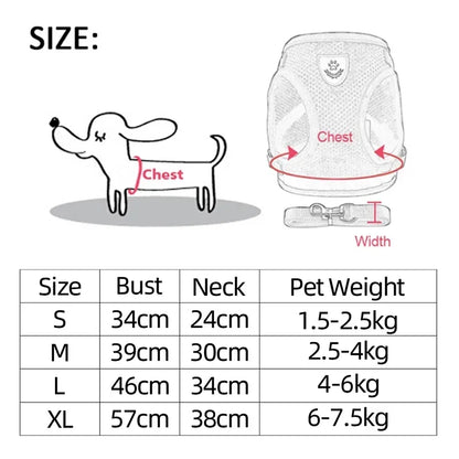 FurNiche™ Adjustable Mesh Pet Harness & Leash Set